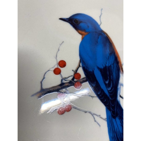 National Wildlife Federation Eastern Bluebird Signed Trace Gold Trim Belcrest US - Picture 4 of 6